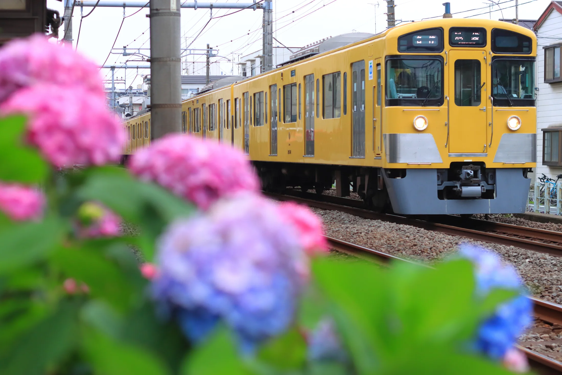 沿線を走る黄色い電車